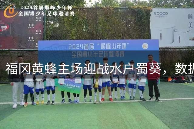 福冈黄蜂主场迎战水户蜀葵，数据看好主队取胜